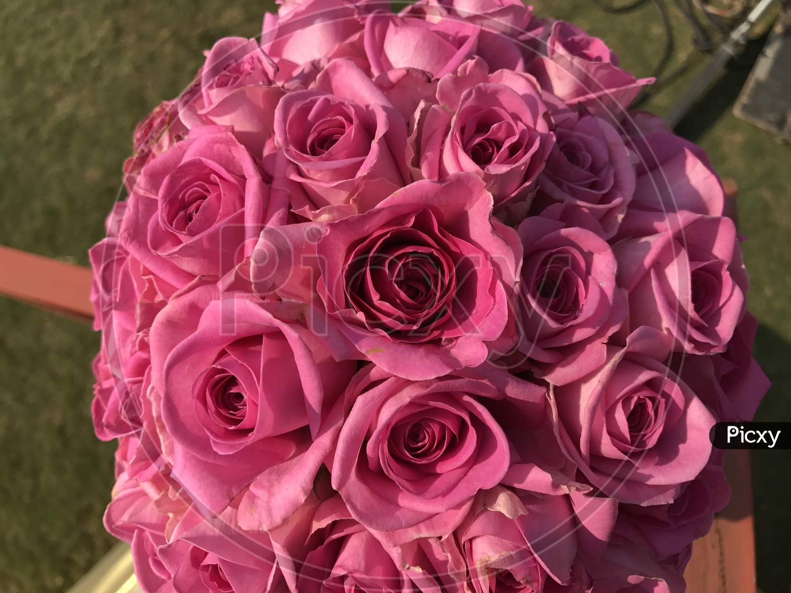 Fresh Rose  Flowers Blooming  in an Bouquet