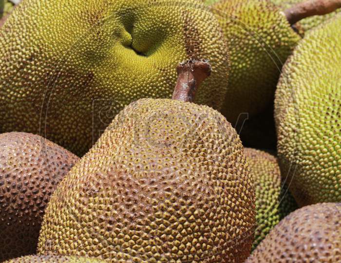 Jack Fruits Closeup Forming a Background