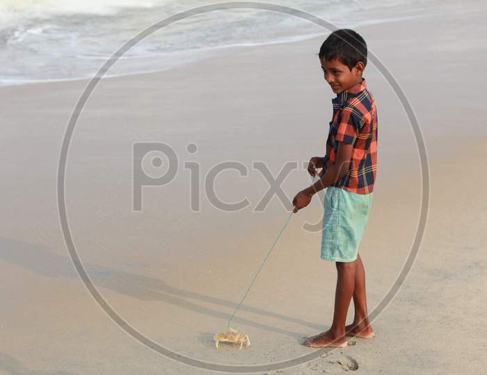 A Kid Playing with Crab on the Shore, Kerala