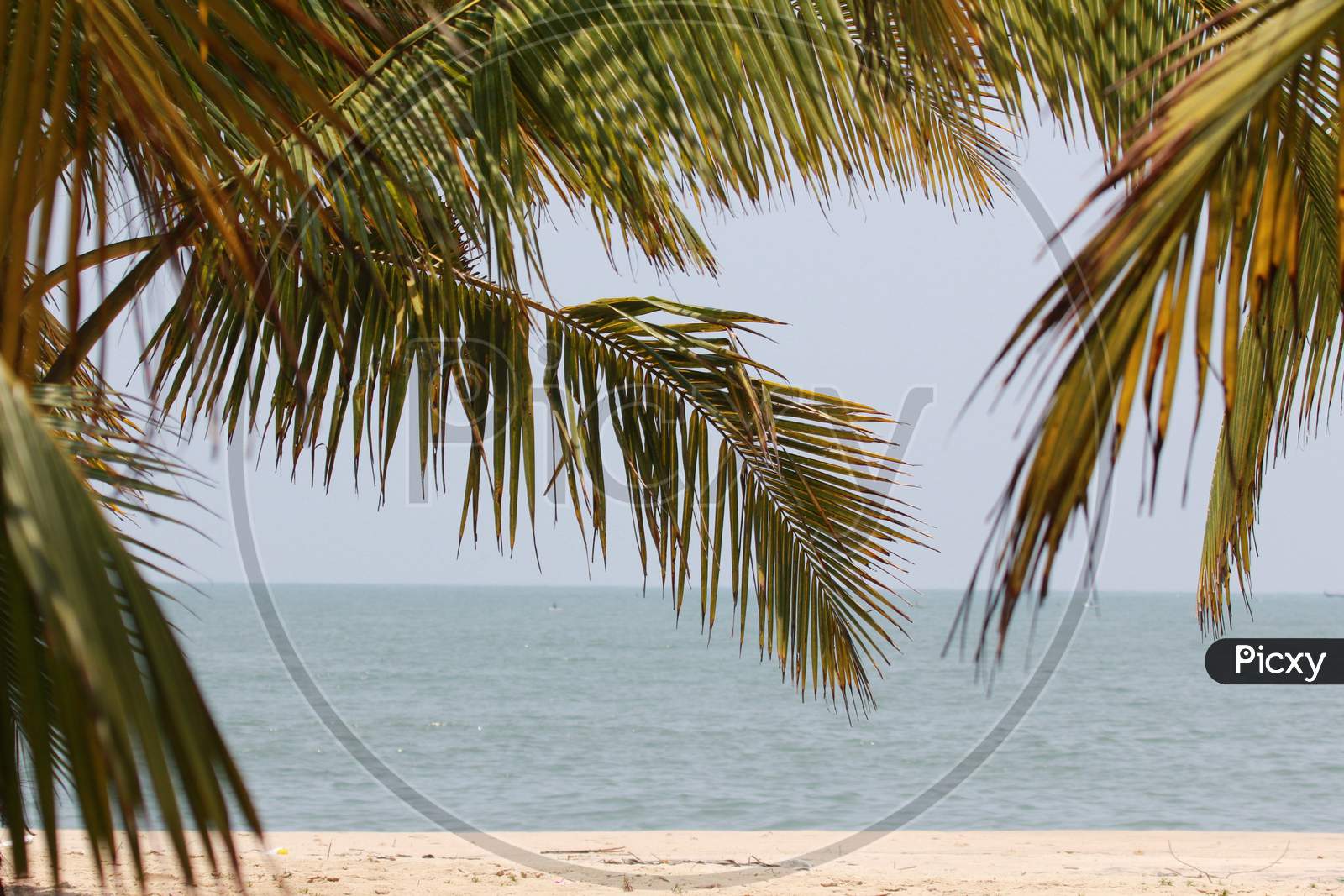 View of Marari Beach, Kerala