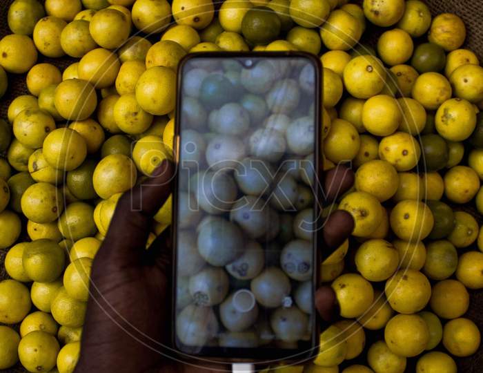 Lemons In a Basket Capturing In a Smart Phone