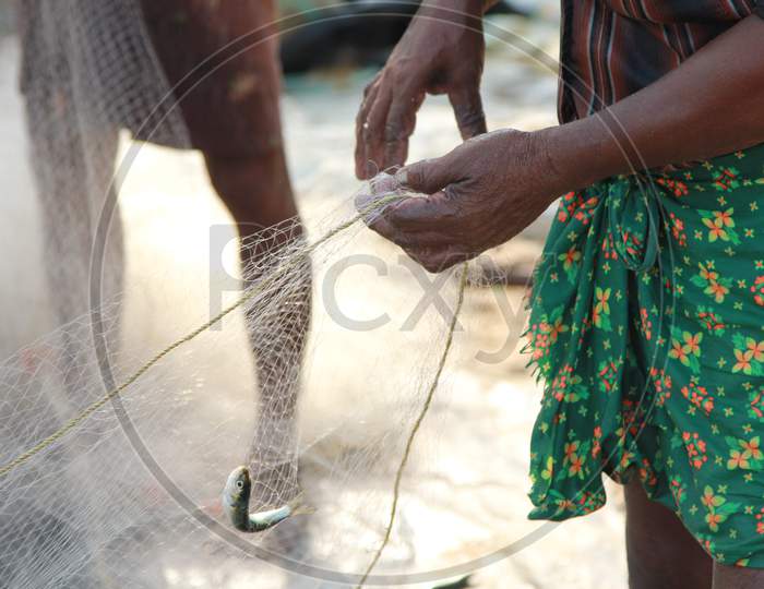 Indian Fishermen at the Marari Beach, Kerala
