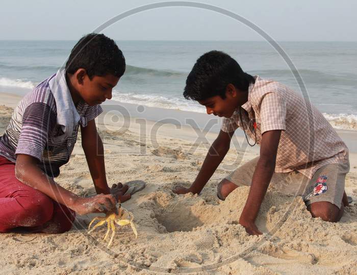 Indian Kids Playing with a Crab at Marari Beach, Kerala