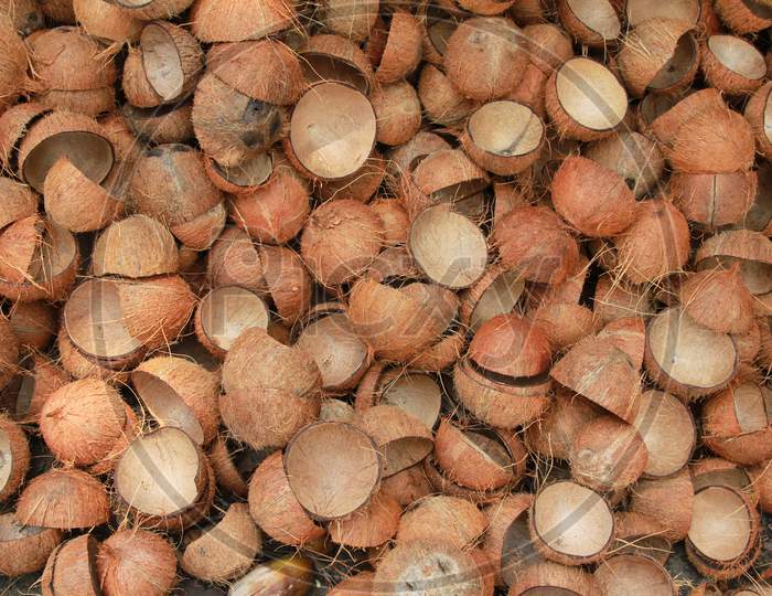 Dried Coconut Shells Pile in Kerala