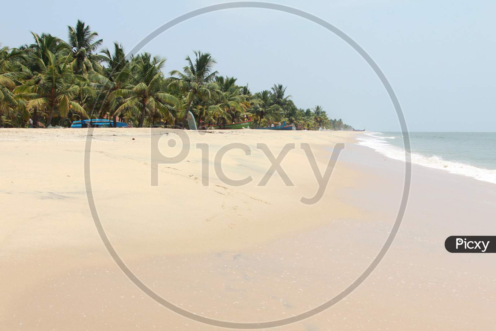 View of Marari Beach, Kerala
