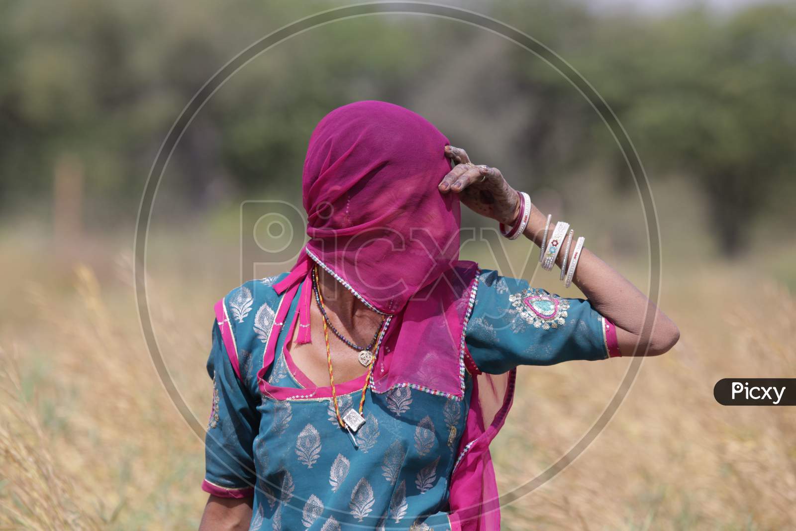 Portrait of Rajasthani Woman in Traditional Attire