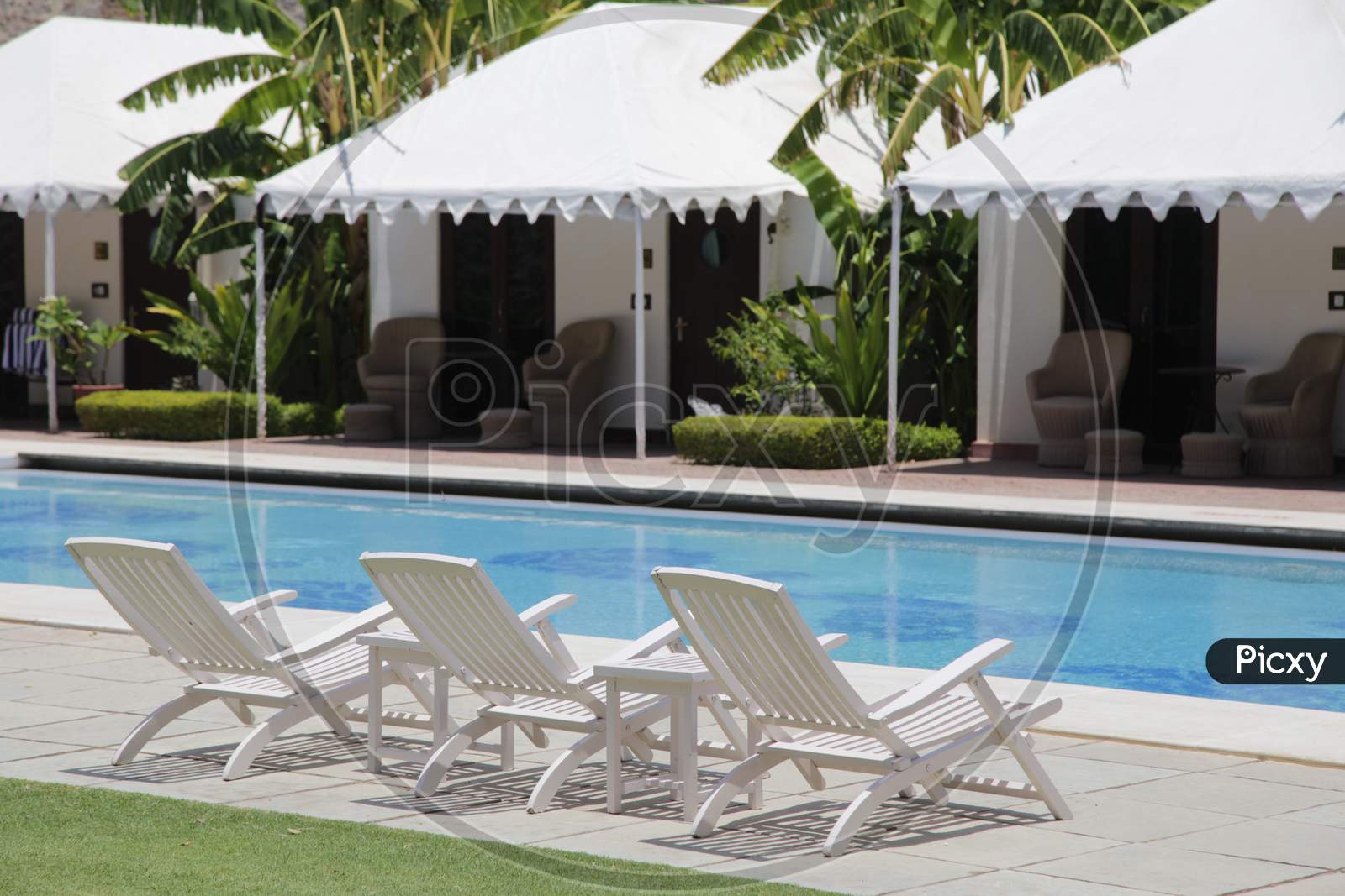 Outdoor chairs by the swimming pool