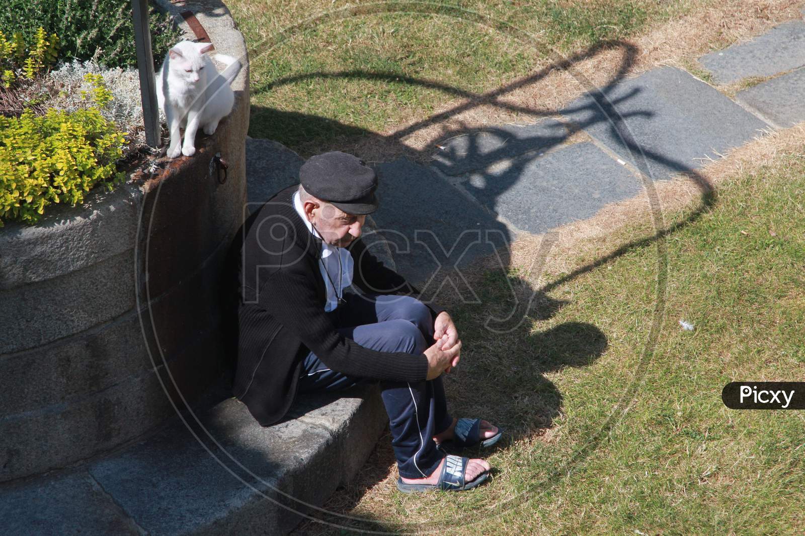 A French old man sitting along with cat