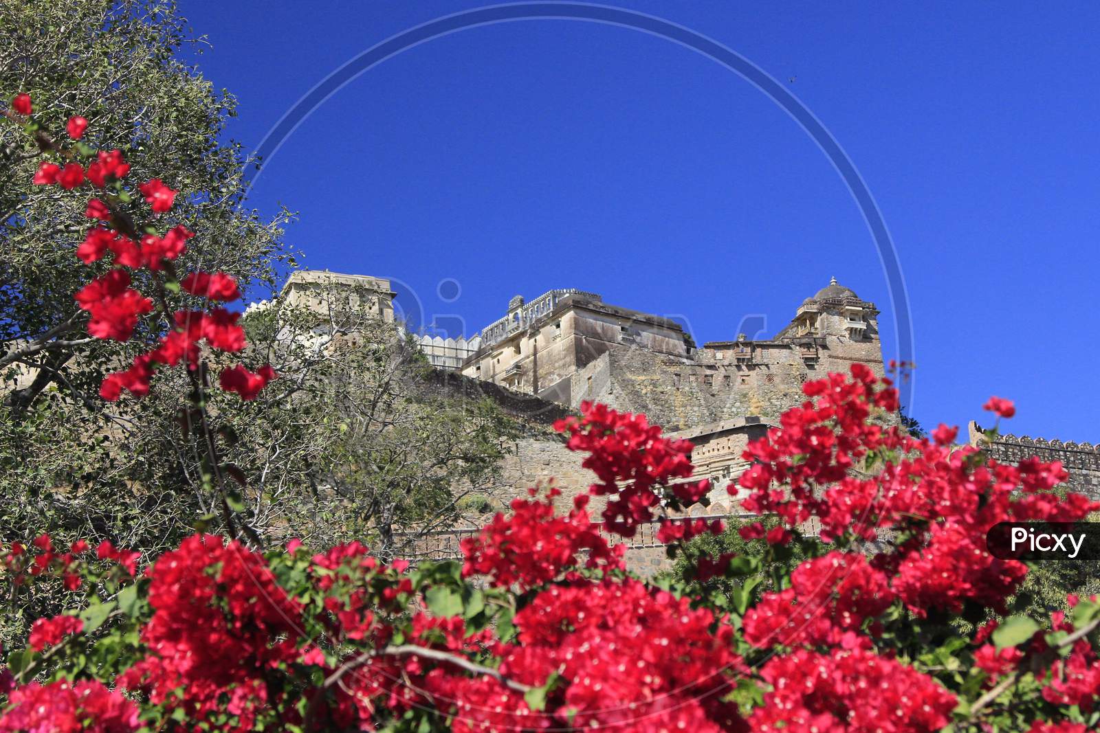 View of Kumbhalgarh Fort, Rajasthan, India