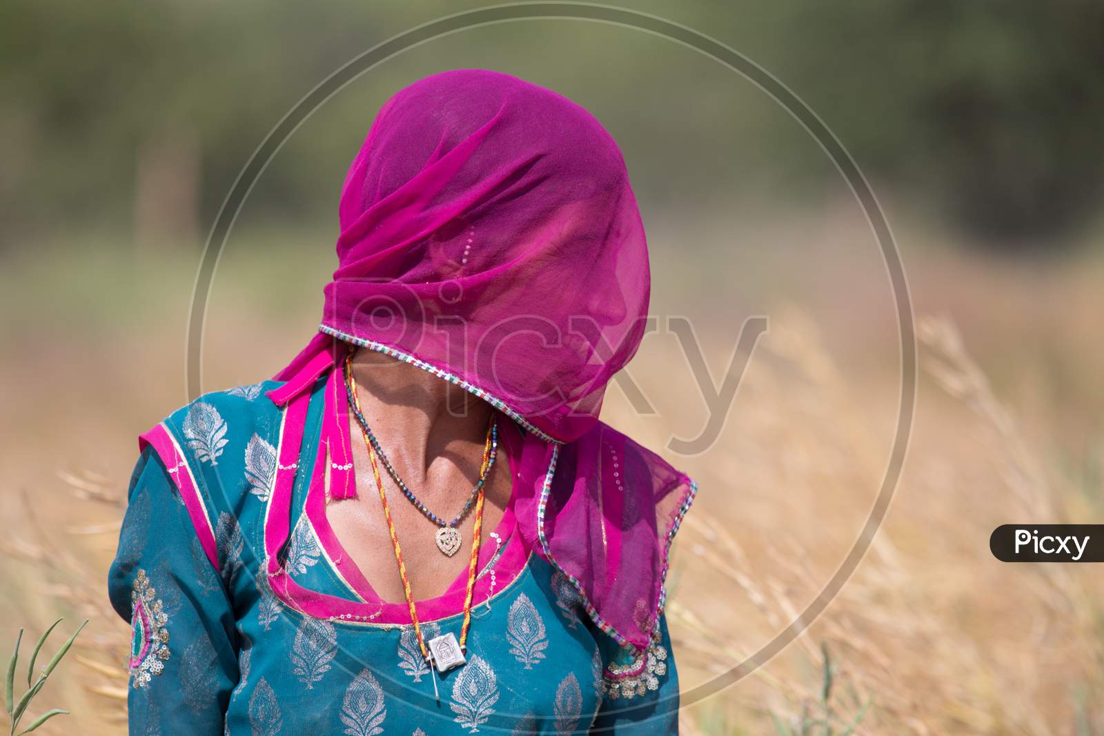 Portrait of Rajasthani Woman in Traditional Attire