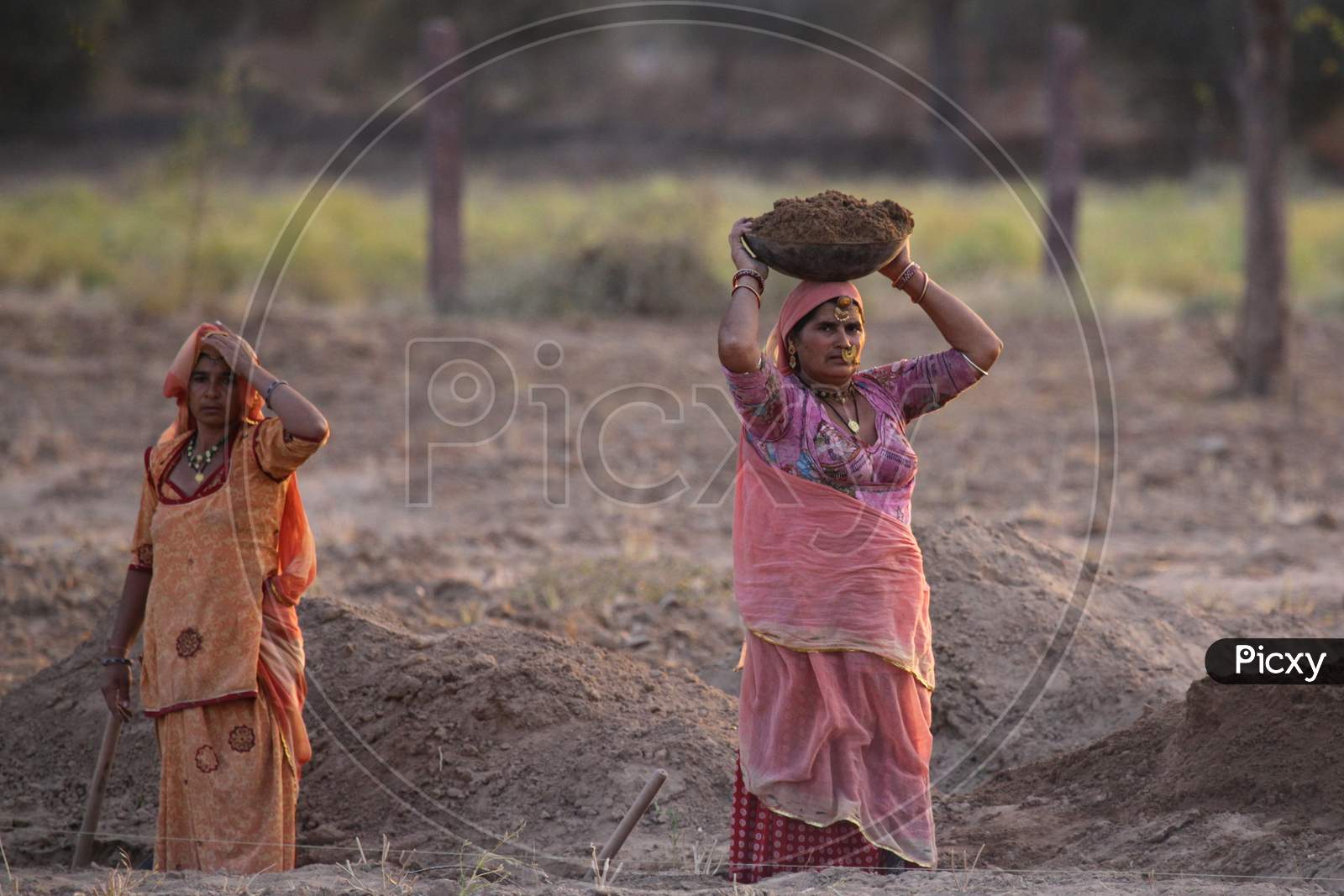 Portrait of Rajasthani Woman working