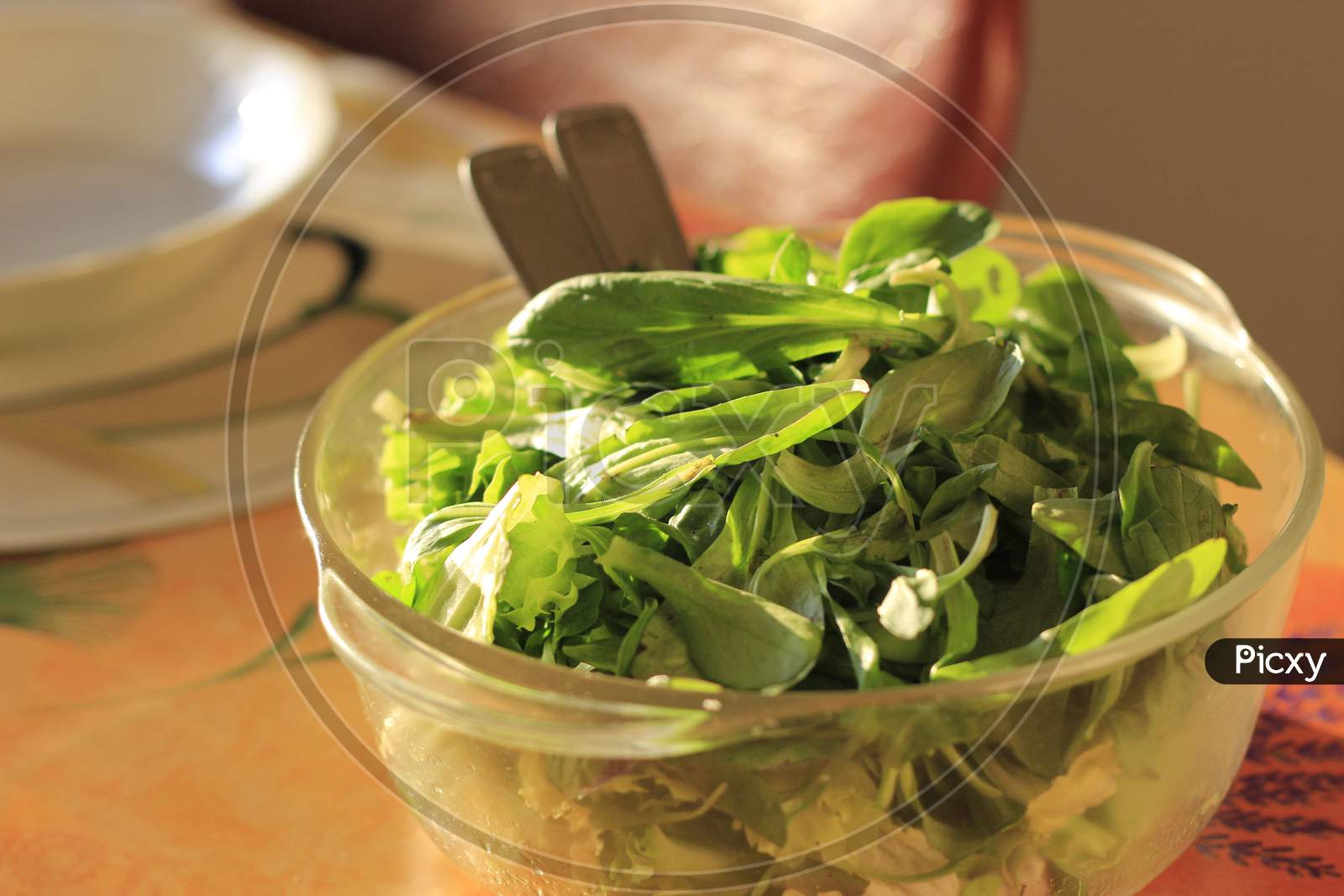 Leafy vegetables in a container