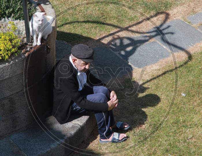 A French old man sitting along with cat