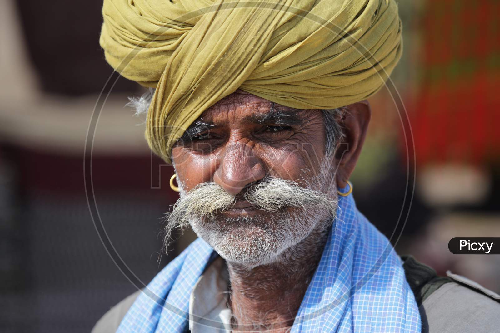 Portrait of Rajasthani Old Man with Turban