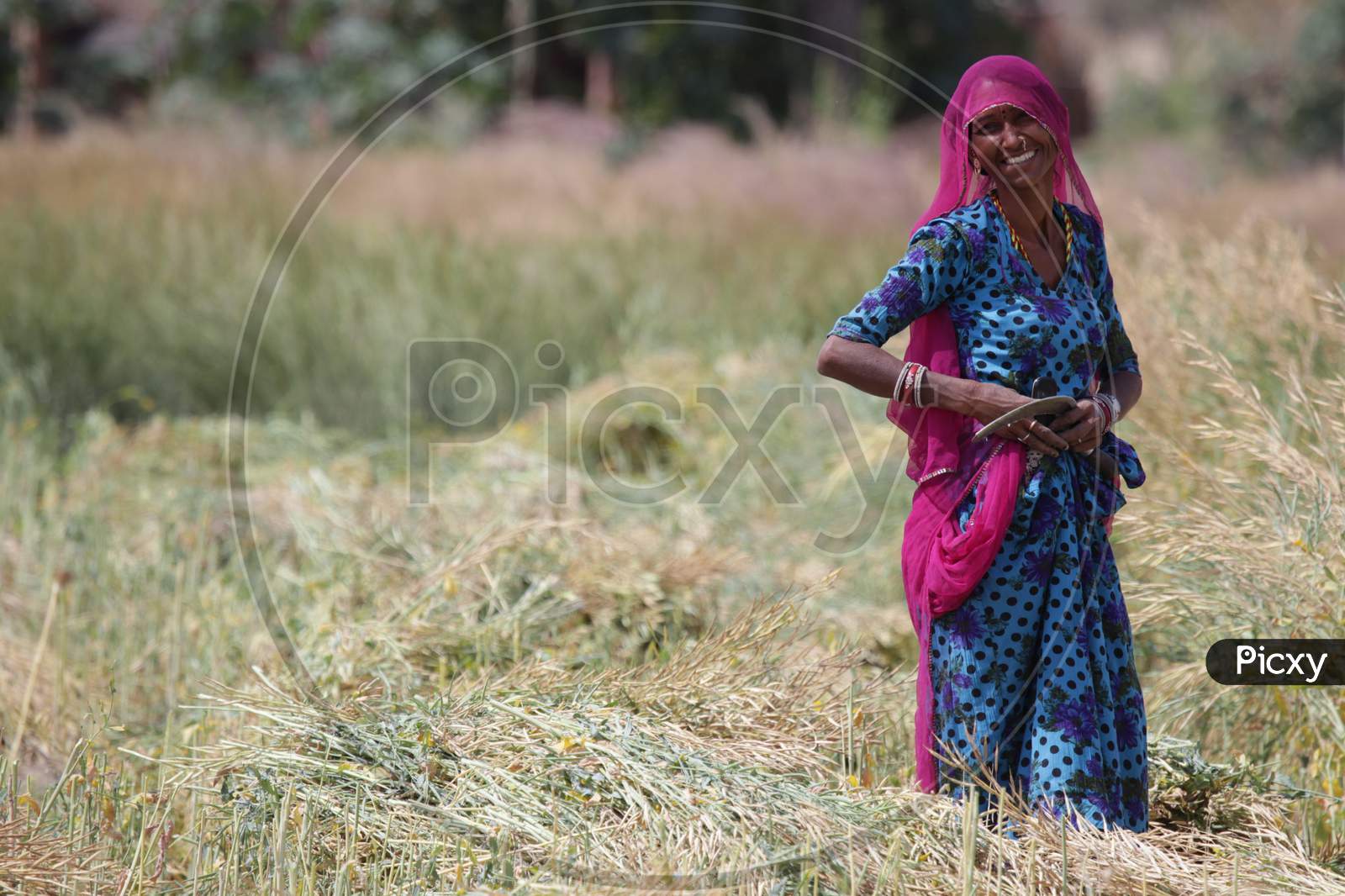 Portrait of Rajasthani Woman Smiling