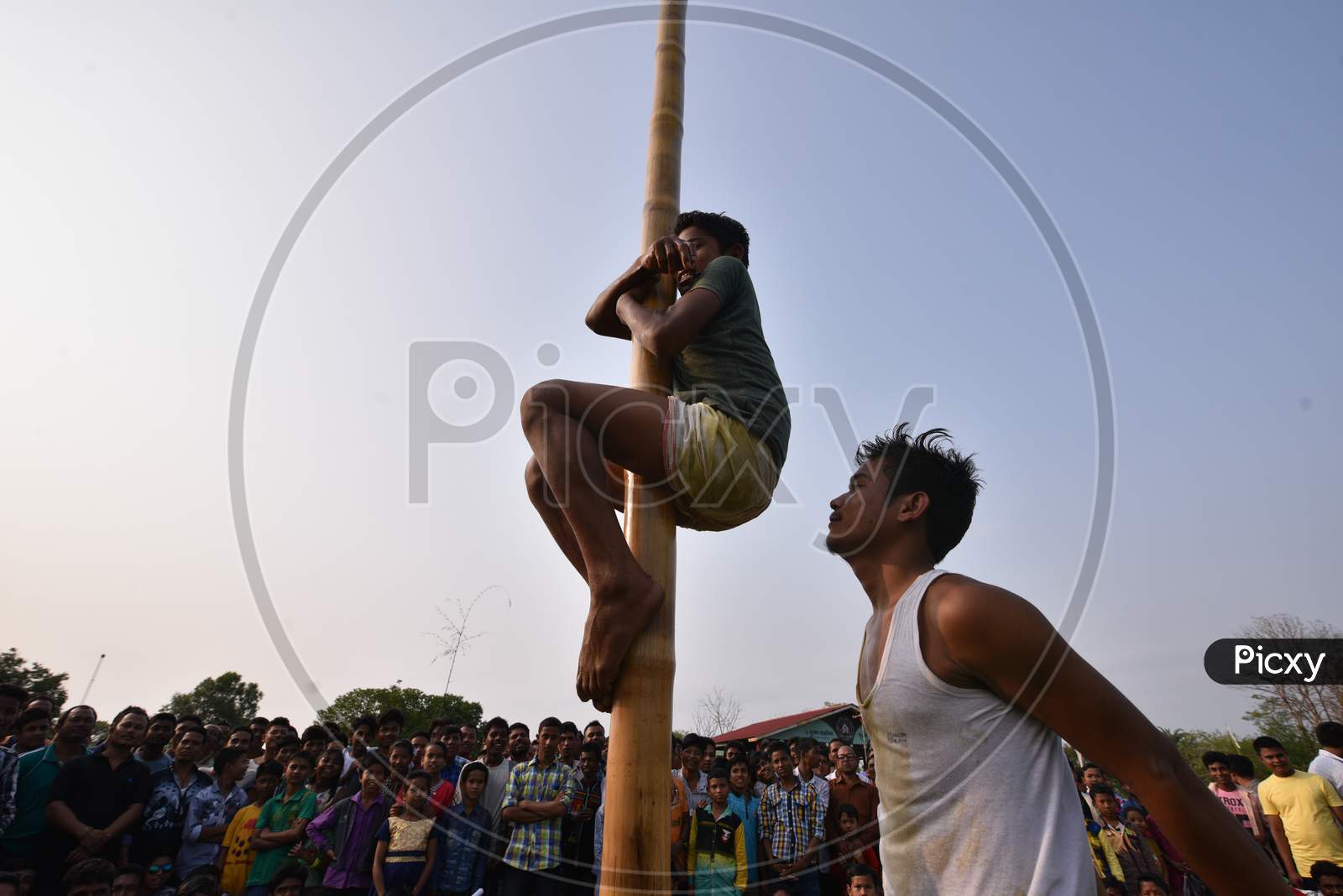 Young Assamese Boy Climbing up on Bamboo Pole at  Suwori Festival Celebrations in Boko, Assam