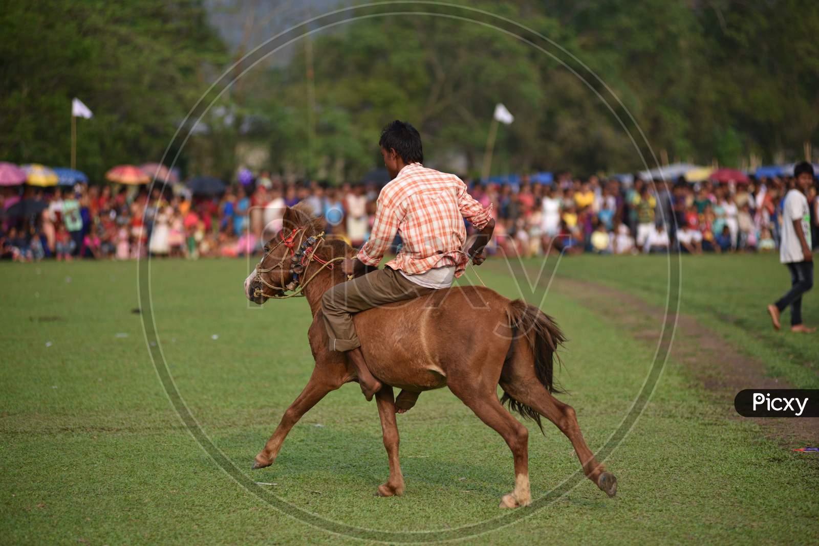 Horse Racing Competition During Suwori Festival Celebrations in Boko, assam