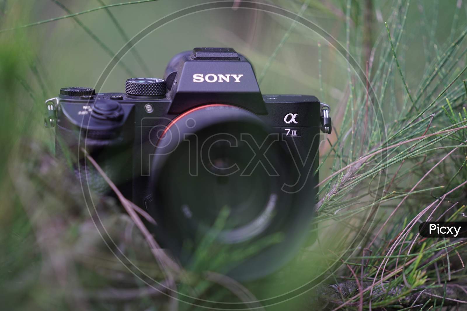 Sony Alpha 7iii  DSLR Camera