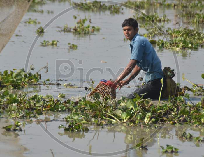 Indian villagers participate in community fishing during the Bhogali Bihu or Magh Bihu celebration at Phuloguri village in Nagaon district of northeastern Assam state on January 14, 2015.