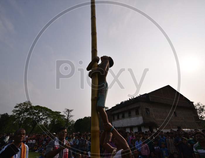 Young Assamese Boy Climbing up on Bamboo Pole at  Suwori Festival Celebrations in Boko, Assam