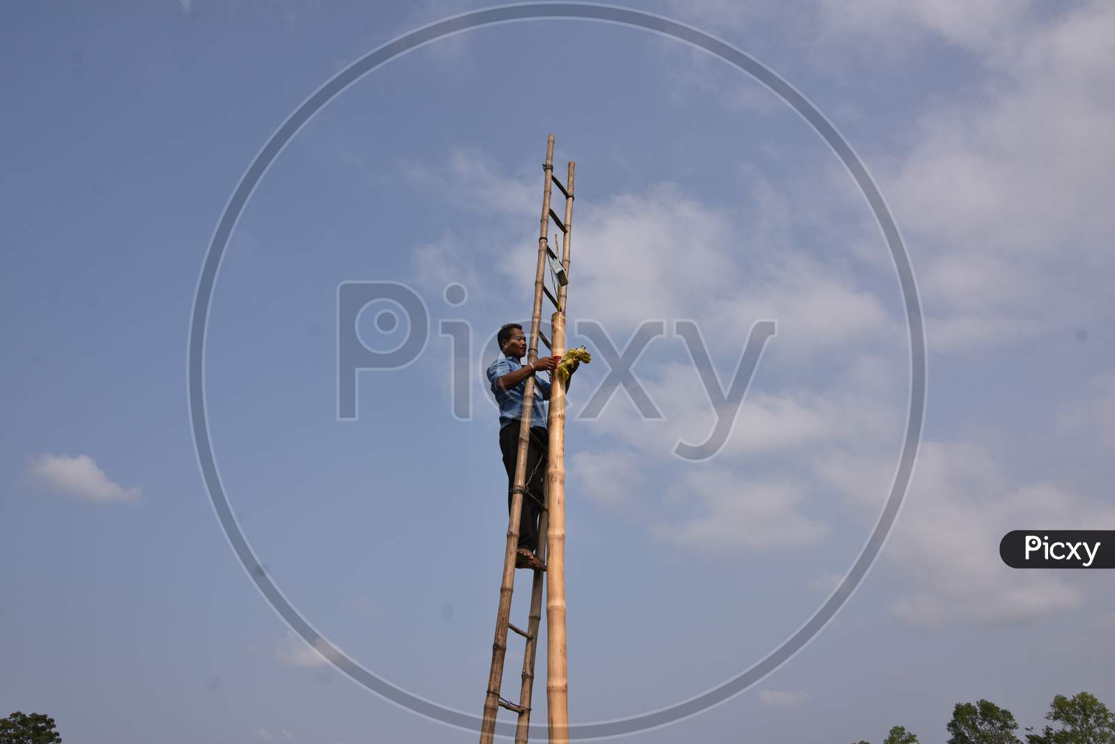 Bamboo Stick Climbing Competition During Suwori Festival Celebrations in Boko, Assam