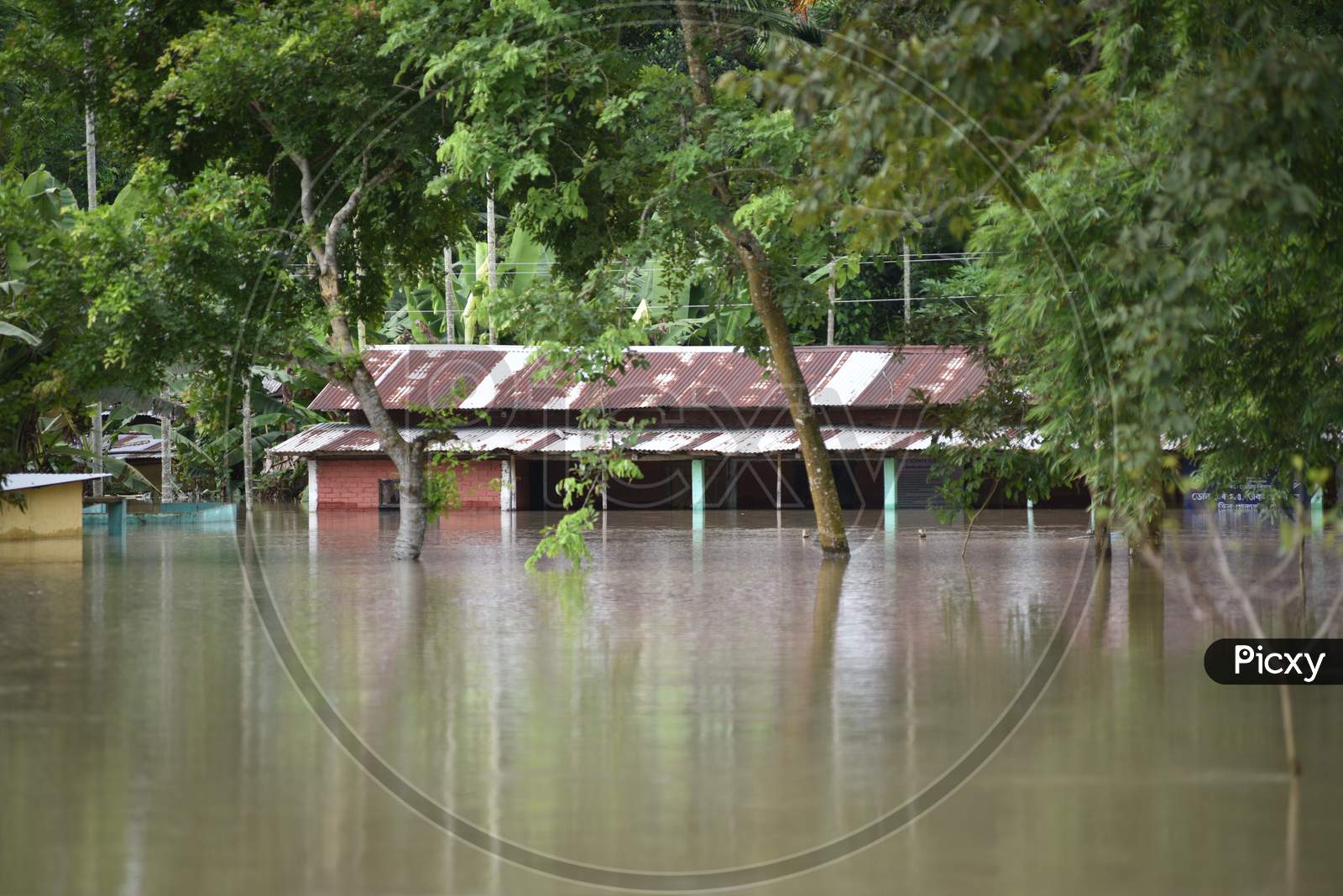 Drowned Houses  In Flooded Regions of  Golaghat , Assam