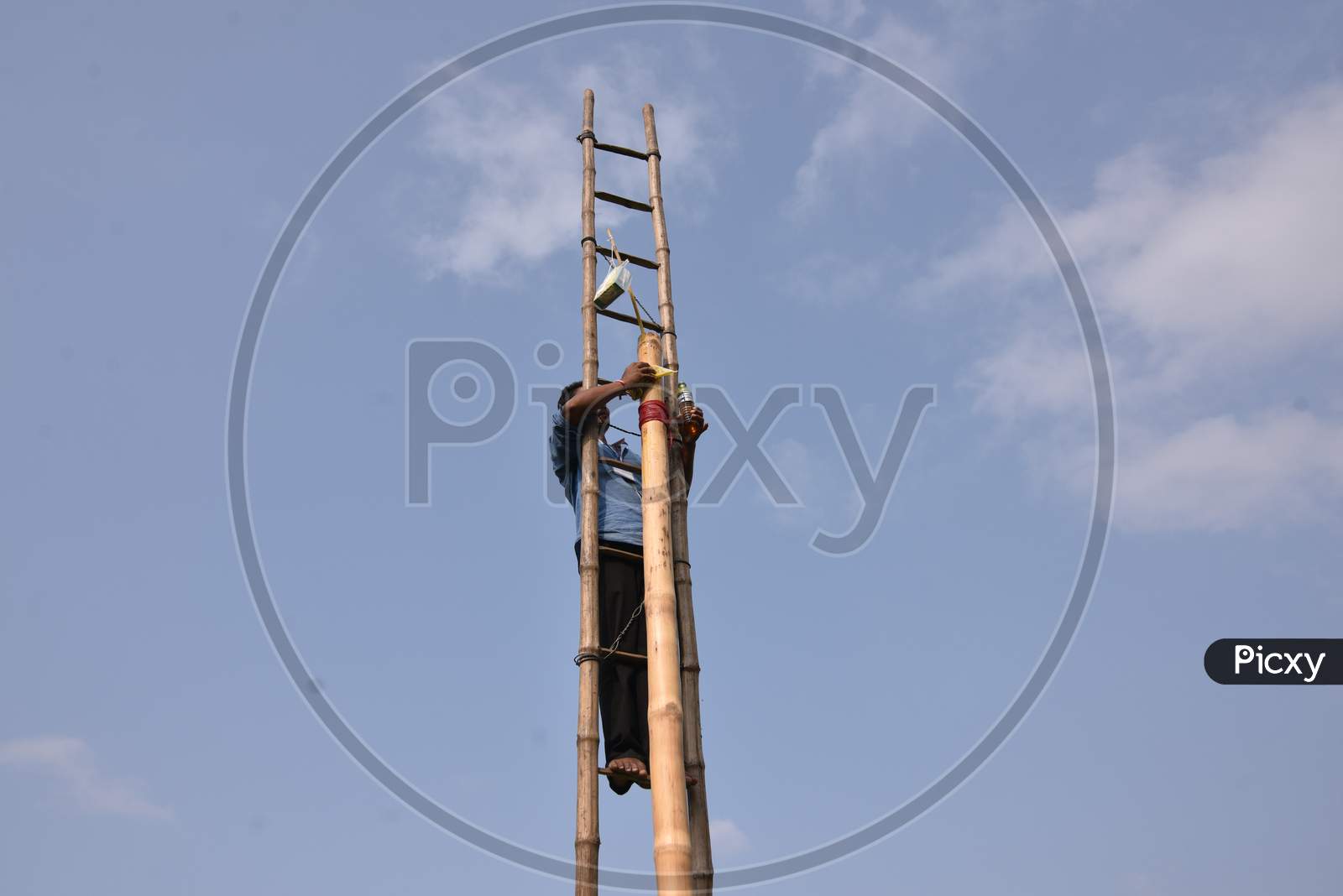 Bamboo Stick Climbing Competition During Suwori Festival Celebrations in Boko, Assam