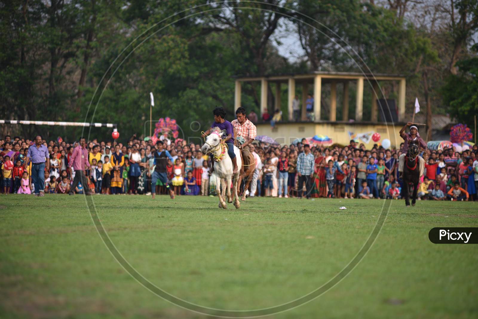 Horse Riding Competition During Suwori Festival Celebrations In Boko, Assam