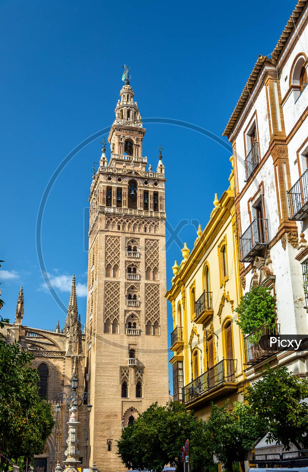 Cathedral Of Saint Mary In Seville - Andalusia, Spain