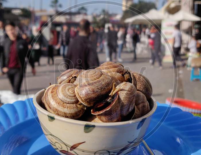 Sea Shells In a Bowl