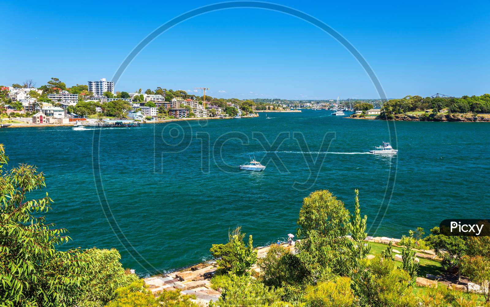 Yachts In Sydney Harbour As Seen From Barangaroo Reserve Park