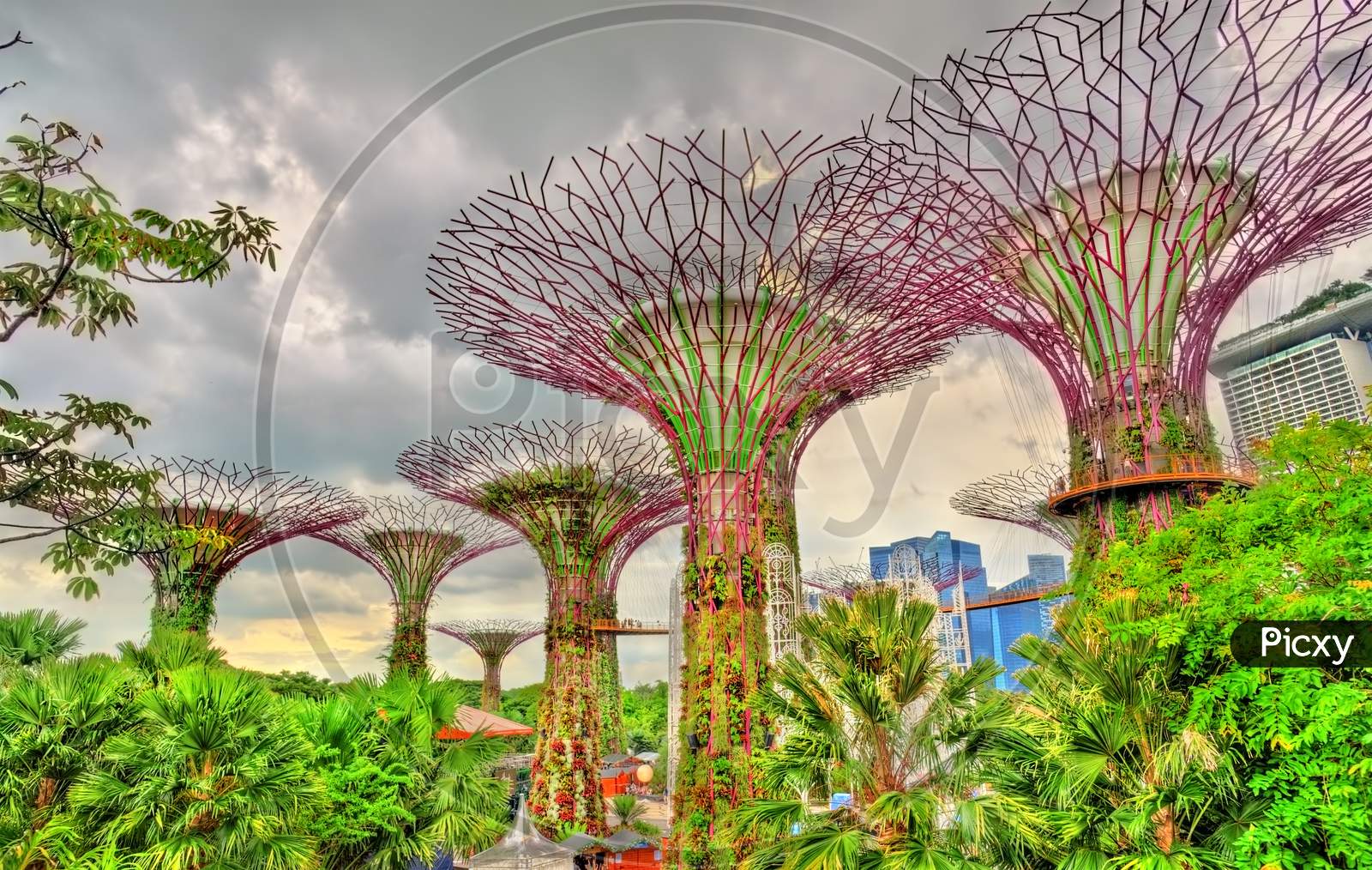 Gardens By The Bay, A Nature Park In Singapore