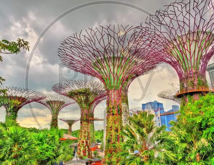 Gardens By The Bay, A Nature Park In Singapore