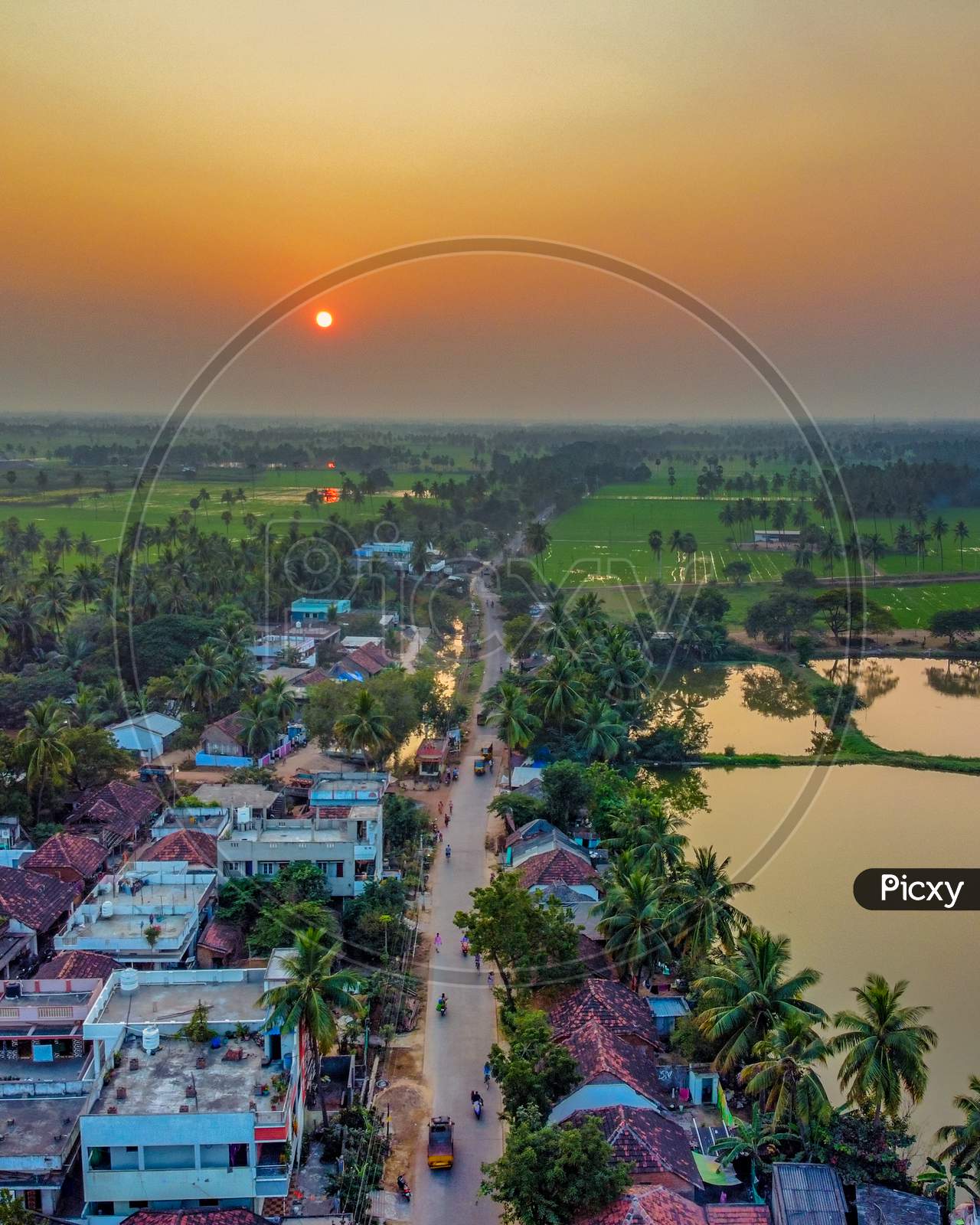 Aerial Shot of Sunset in a village with paddy fields in east godavari