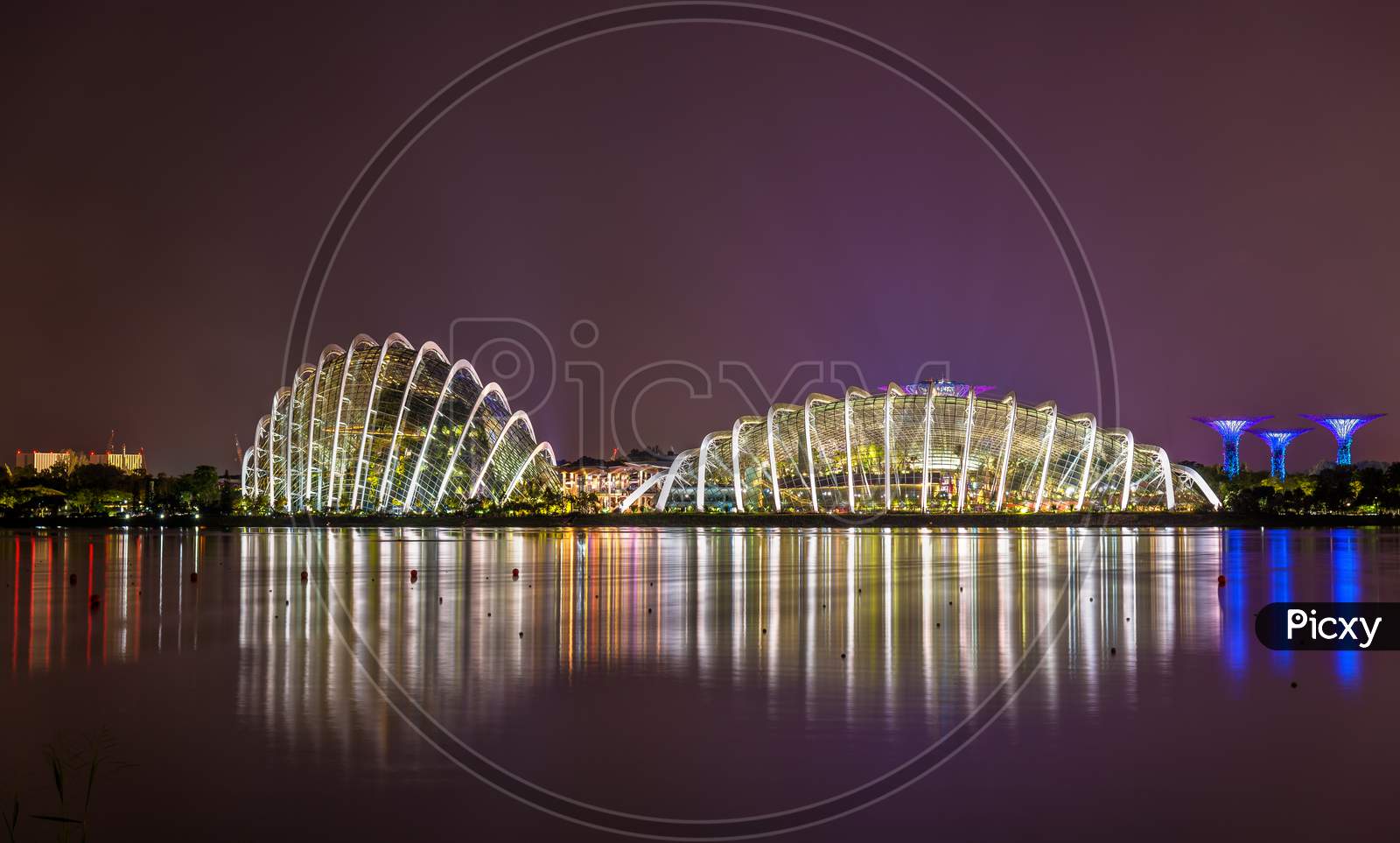 Night View Of Gardens By The Bay In Singapore