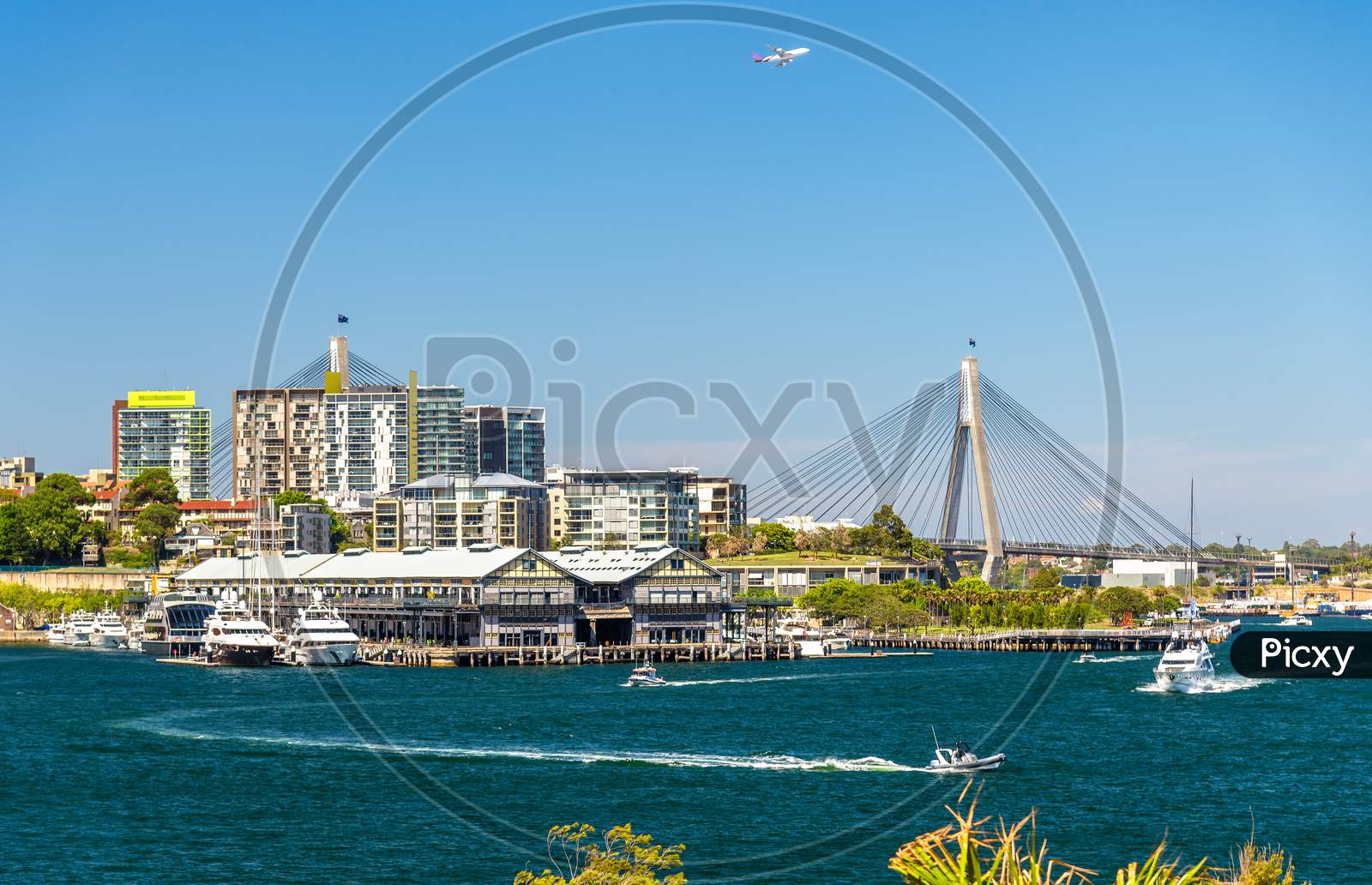 View Of Pyrmont District And The Anzac Bridge In Sydney