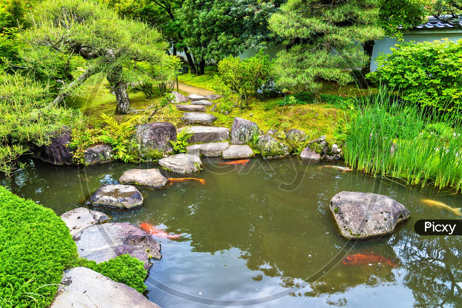 Traditional Japanese Garden Koko-En In Himeji