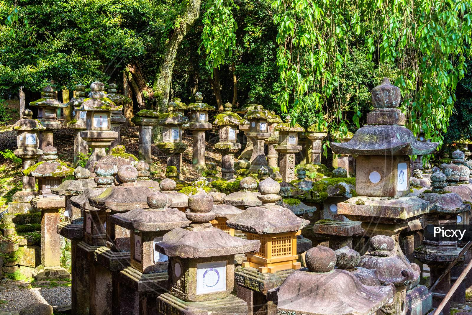 Stone Lanterns At Tamukeyama Hachimangu Shrine In Nara