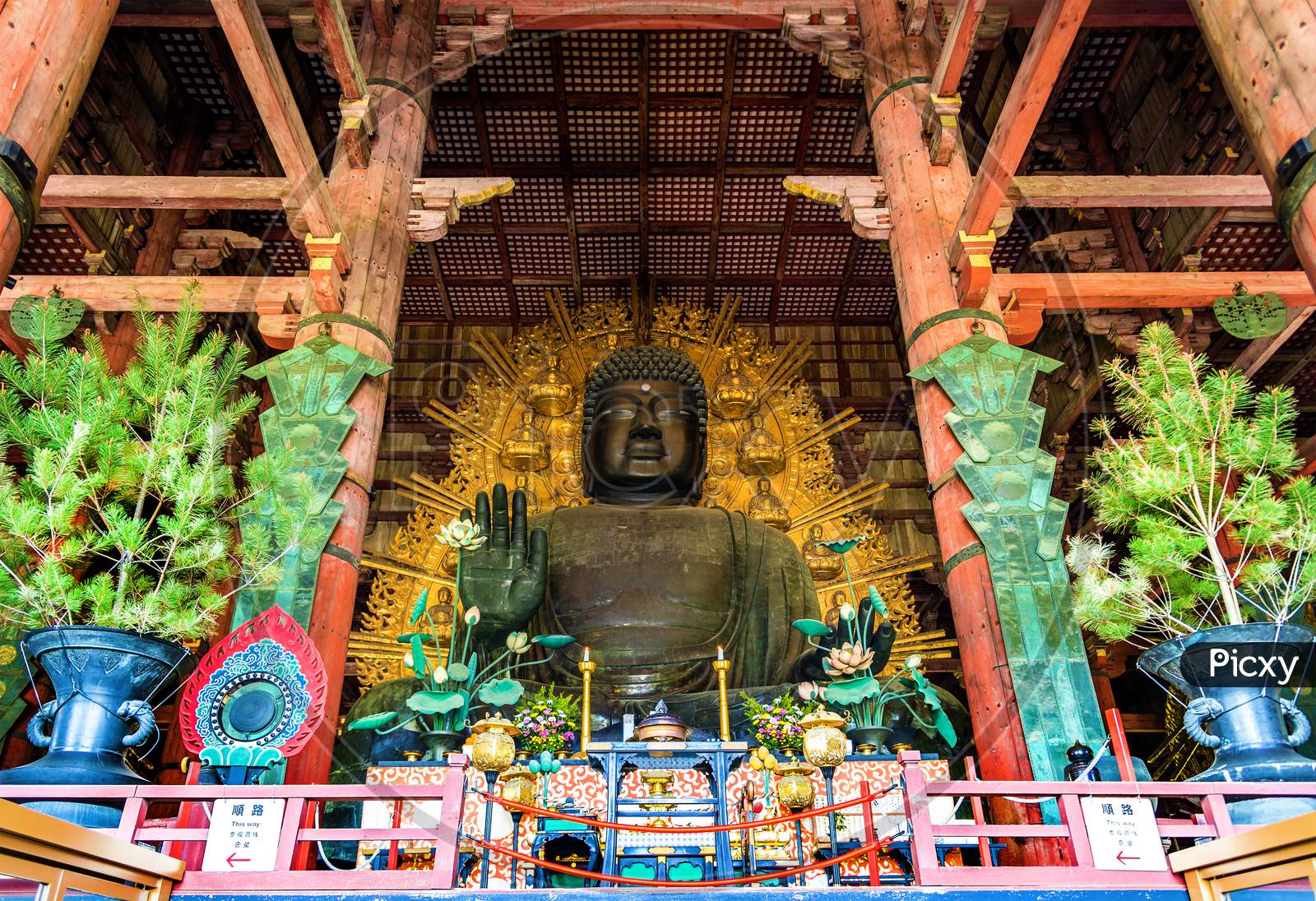 Daibutsu, Giant Buddha Statue In Todai-Ji Temple - Nara