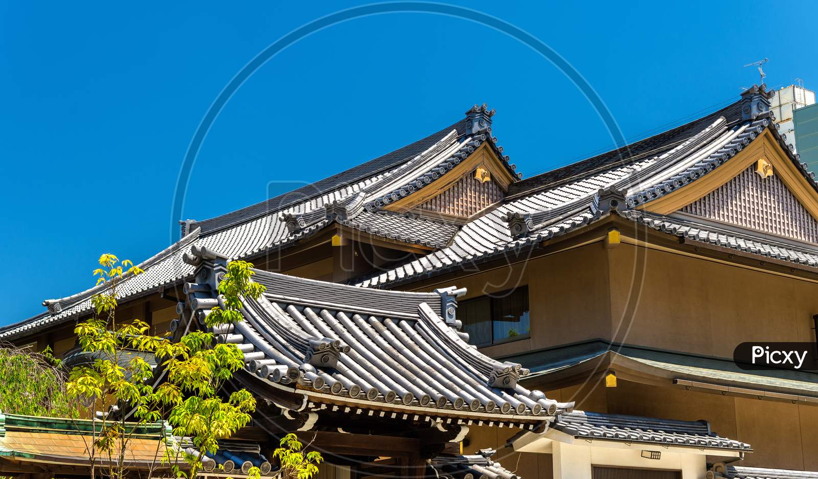 Roofs Of A Shinto Shrine In Nara