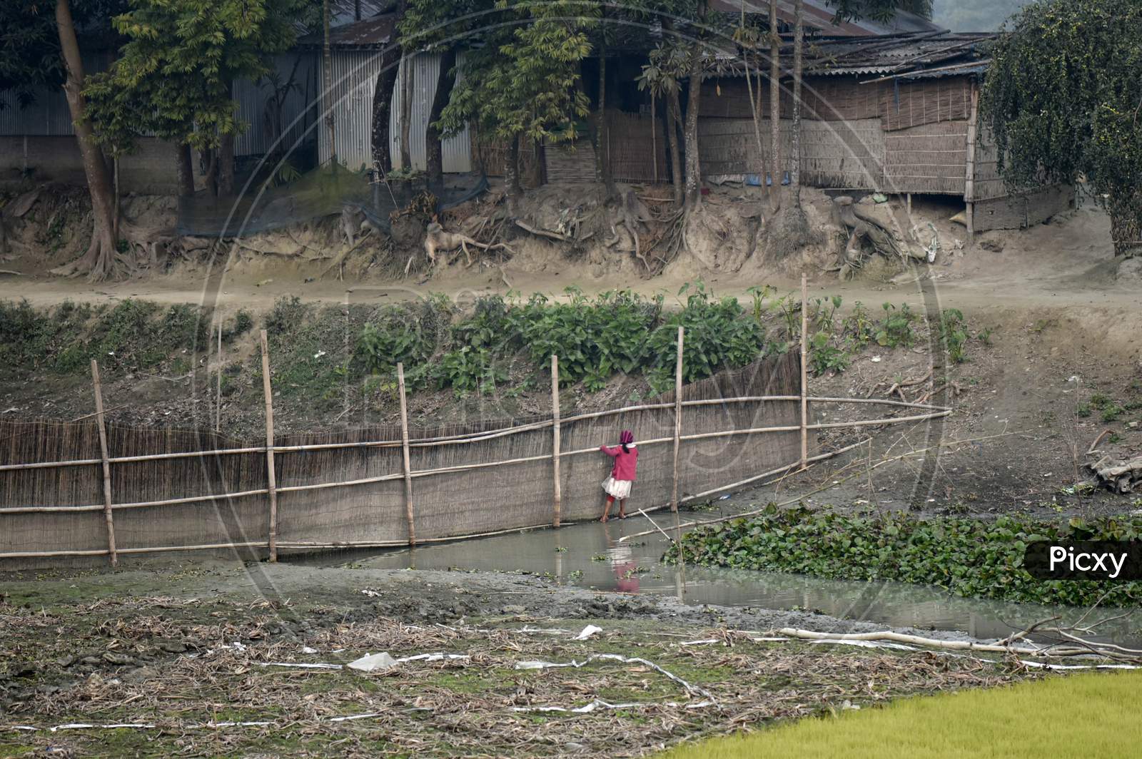 A Girl Crossing A Water Stream, At Kayakuchi Village, In Barpeta District Of Assam