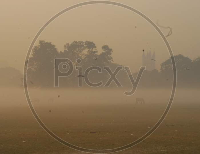 View of empty ground during heavy fog