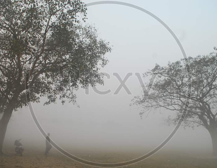 Morning Walkers Walking In an Winter Fog