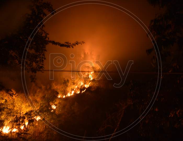 View of forest in fire
