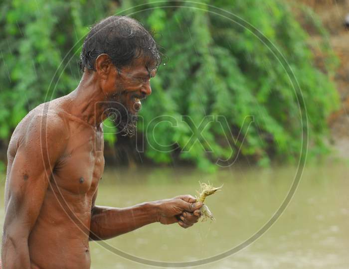 Indian bare chested man holding a shrimp in the rain