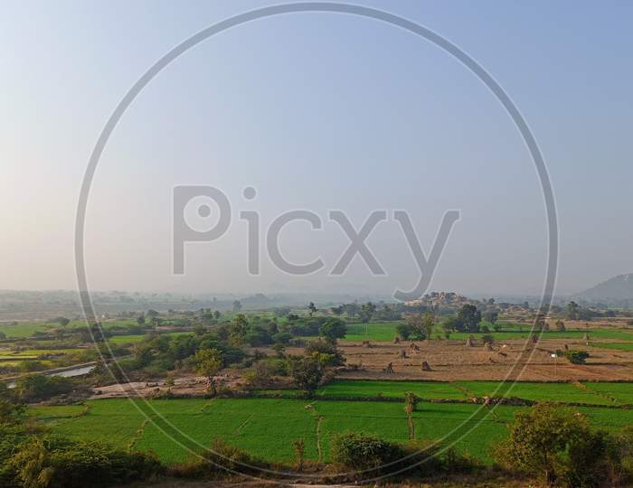 Agriculture fields near Koilsagar Project Reservoir Mahabubnagar Telangana India