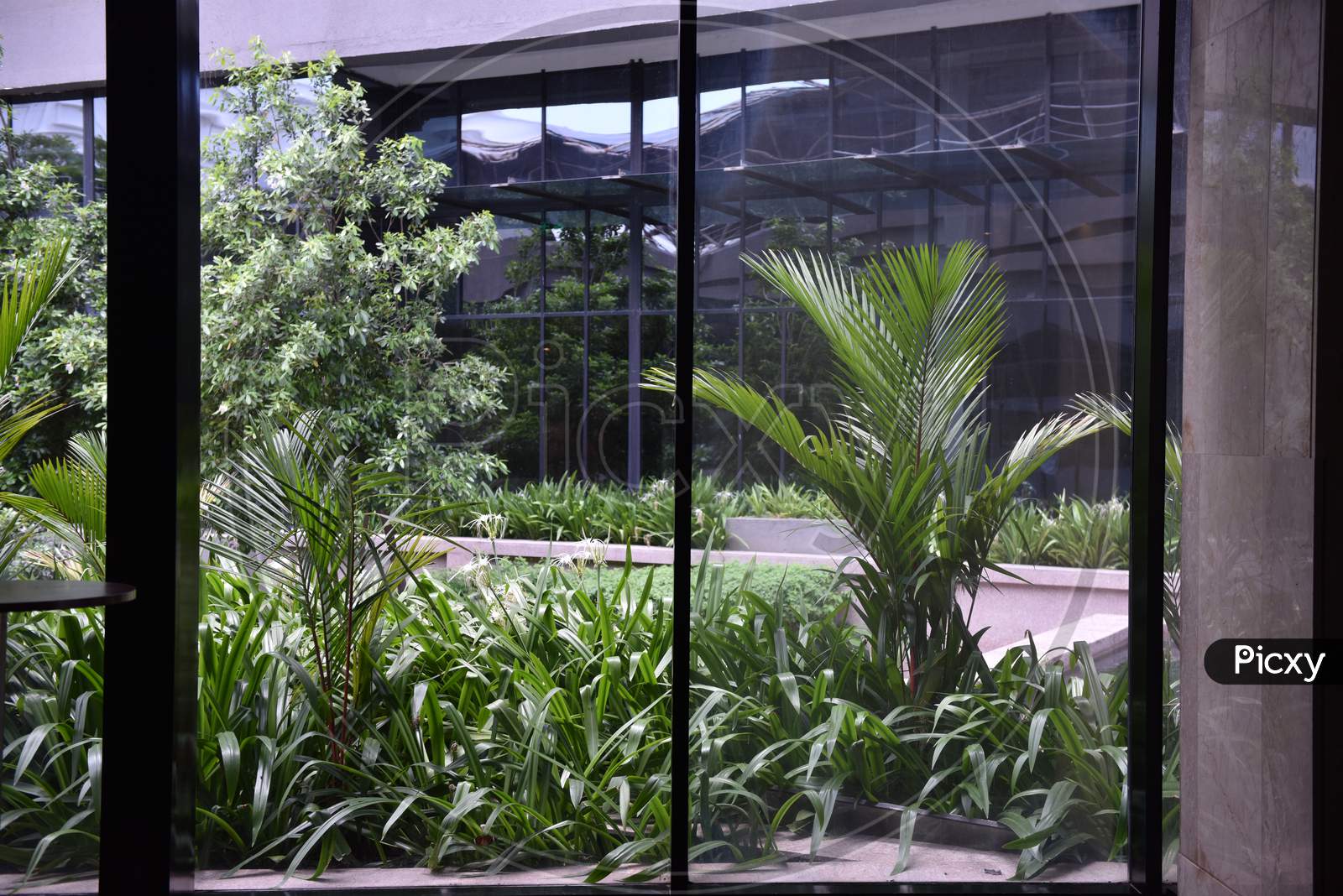 View of indoor plants