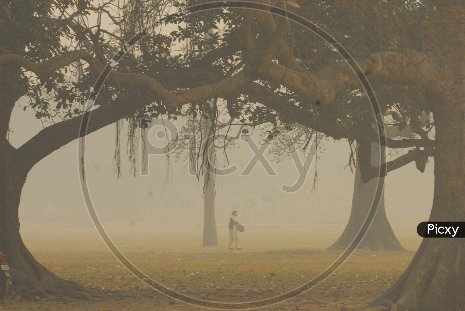 Young Man Playing In Ground On an Foggy Winter Morning