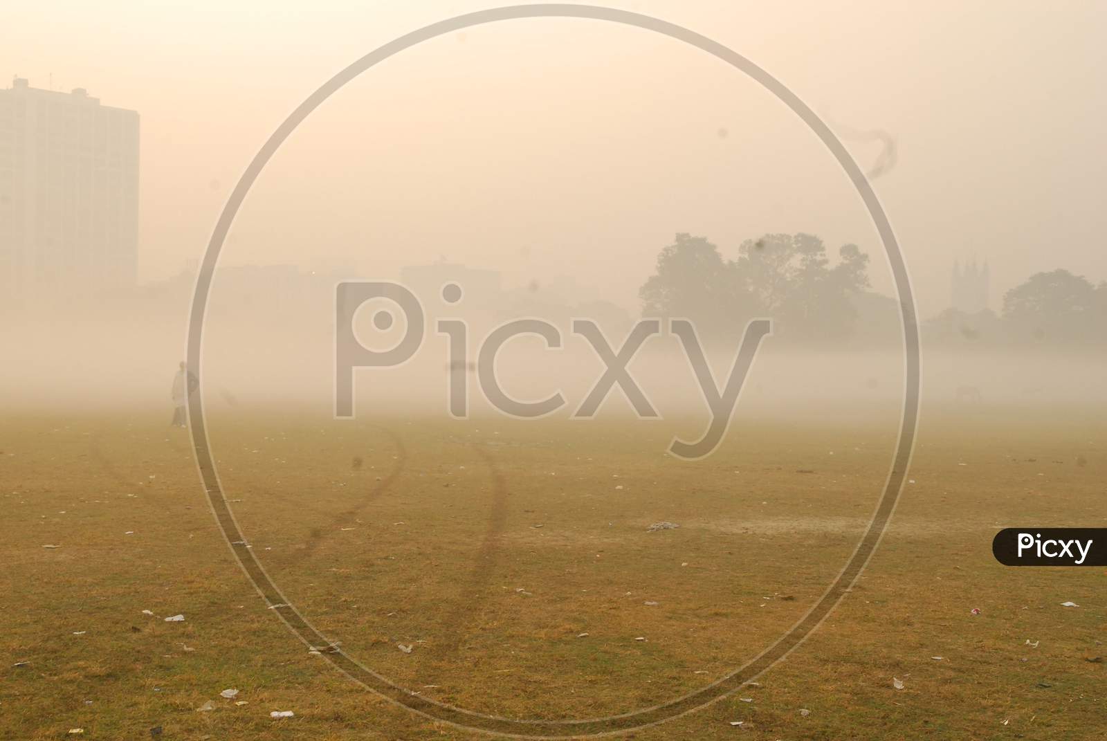 Green lawn during foggy morning