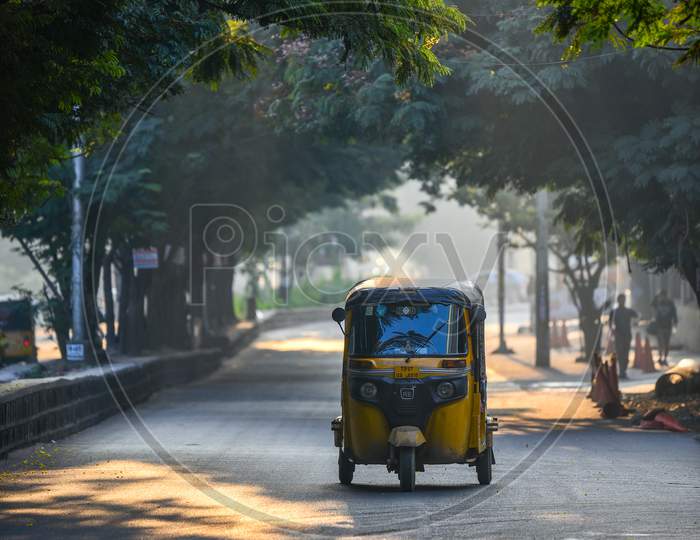 Auto In an Urban City Road With Canopy Of Tree